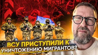 видео
