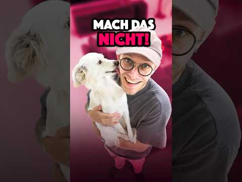 Mach das nicht! 🐶 #hund #comedy #tiere