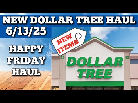 NEW DOLLAR TREE HAUL 6/13/25