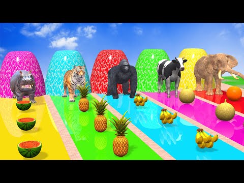 Long Slide Game with Cow Elephant Gorilla Hippopotamus Tiger 3d Animal Game Funny 3d Animals