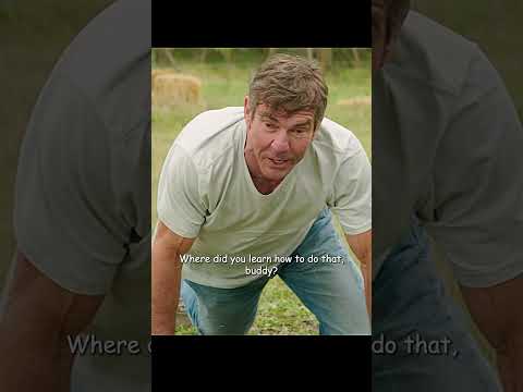 He finally recognized the dog boss#shorts