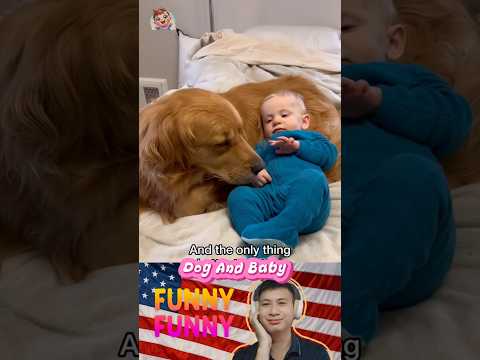 Dog And Baby 🐶🍼❤️ |#178| #shorts #funny #baby #dog #love #bestfriend #cute #pets #puppy