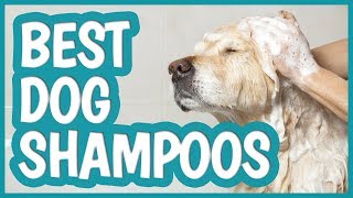 Best Dog Shampoo in 2019 | TOP 10 Dog Shampoos