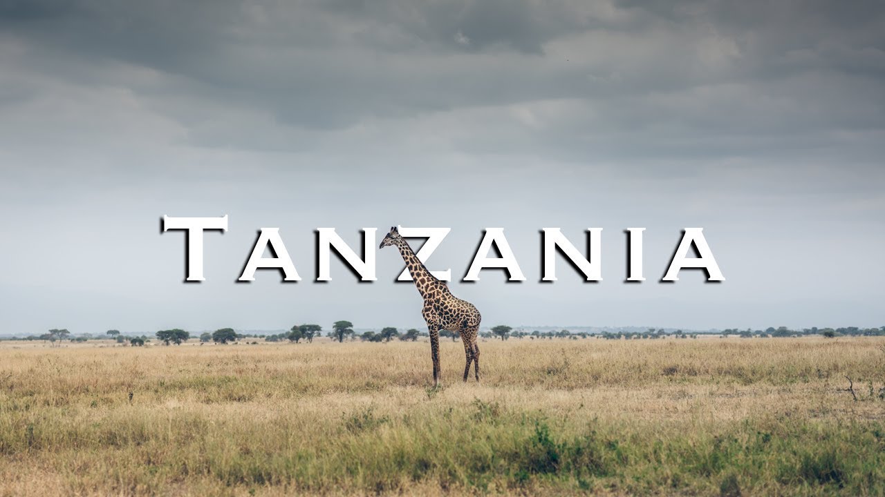 Great Africa Safari in Tanzania Tarangire National Park