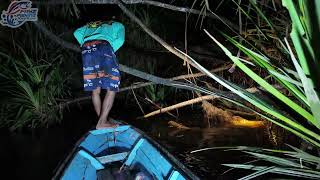 MAKHLUK BERWARNA PUTIH MENUNGGU KETIKA PULANG MENOMBAK DI SUNGAI WAKANDA