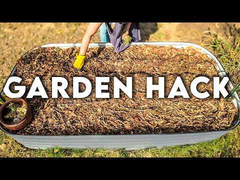 This Garden Hack Saved Us Hours of Work