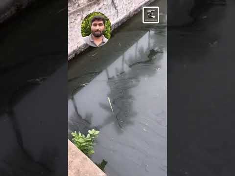 கிணத்துல விட்ட மீனுக்கு என்ன ஆச்சு ? What happened to the fish in the well ? #shorts