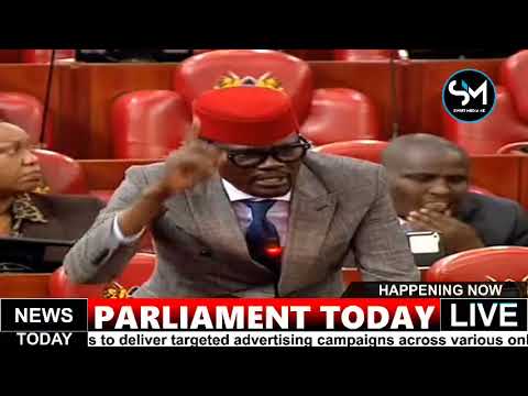 YOU MUST ARREST GACHAGUA AND TAKE HIM TO JAIL! DIDIMUS BARASA BLAMES ON GEN Z PROTESTS