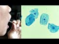 Cell Structure and Staining Techniques