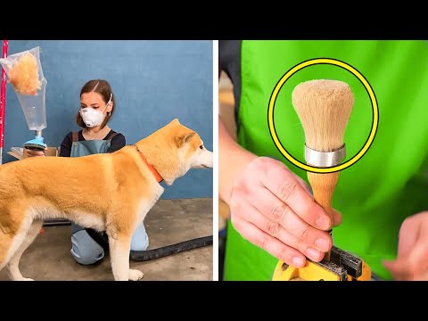 Best Out of Waste Ideas: 5-Minute Crafts to Recycle and Reuse Old Things