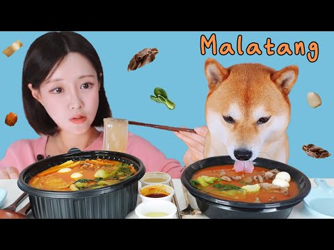 마라탕 같이 먹었어요 (마라탕 첫 입문기!)