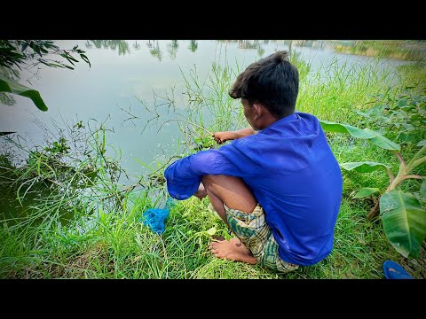 Best Hook Fishing 🎣 Traditional Hook Fishing in Village Daily Life Part 658