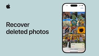 How to recover deleted photos on iPhone or iPad | Apple Support