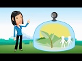 Environmental Protection Agency Knowledge Assessment