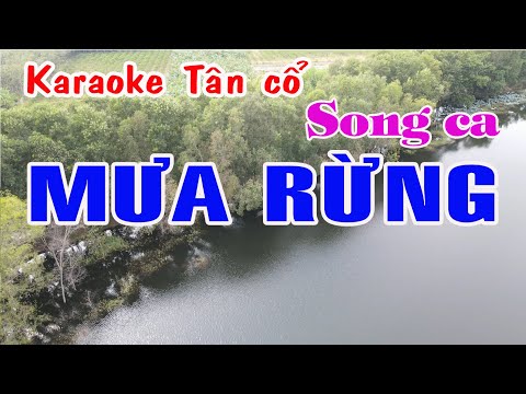 Karaoke tân cổ MƯA RỪNG – SONG CA
