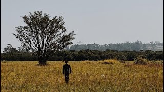 PEPÊ - MEU LUGAR (VISUALIZER OFICIAL)