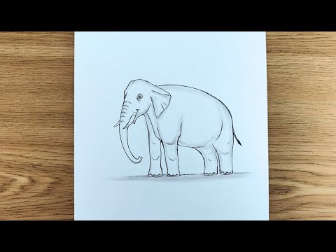 How to Draw an Elephant🐘 | Easy Step-by-Step Tutorial