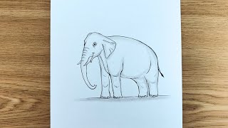 How to Draw an Elephant🐘 | Easy Step-by-Step Tutorial