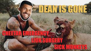 Dean is Gone – Noeh faces Chaos: Cheetah emergency, sick Monkeys & Lion surgery
