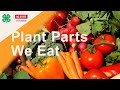 Plant Parts and Their Uses