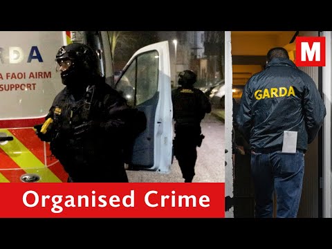 Over 100 Garda officers storm Dublin homes in massive crime raid with multiple arrests so far