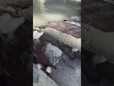 Subió el mar en toda la isla de Holbox #holbox #playa #inundacion