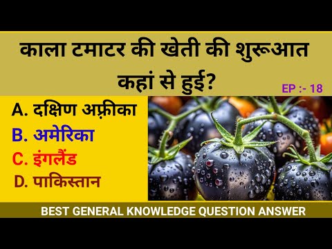 काला टमाटर की खेती की शुरूआत कहां से हुई? #gk #motivation #gktoday #gkstudy #generalknowledge #facts