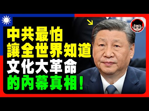 【中共機密】中共人只打中國人？文化大革命 究竟死了多少人？1億！習近平 一国两制 个人成长 统一 兩岸 习近平 自我提升 反送中 中共 九二共识 財富自由 反共 法輪功 國安法 中華民國 六四 毛澤東