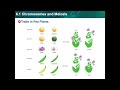 Exploring Mendelian Genetics Concepts