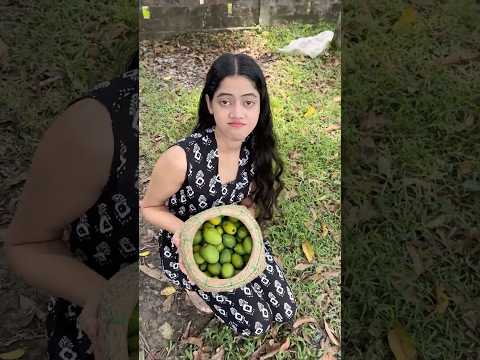 Let’s Collect Mangoes 🥭😋#shorts #vlog #minivlog #dailyblog #olidaandimdat
