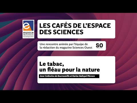 🌱 Le tabac, un fléau pour la nature