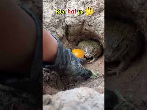 funny video #funny #comedyvideos #funnyvideos #shorts #ytshorts #youtubeshorts #shortsviral #comedy