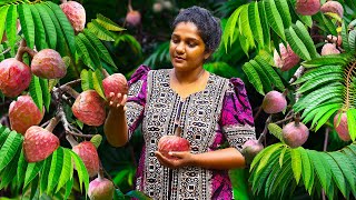 The Best Custard Apple recipes🍑harvesting fresh fruits making creamy desserts in more creamy ways