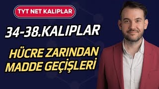 TYT Biyoloji l Hücre Zarından Madde Geçişleri l Net Kalıplar l 34-38