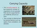 Exploring Population Biology and Limiting Factors
