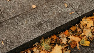 𝗝𝗮𝘇𝘇 𝗣𝗶𝗮𝗻𝗼 l 나의 가을, 나의 사랑 🍂