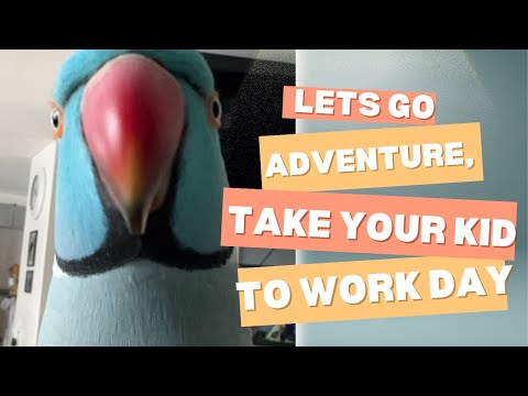 Kiwi Goes On An Adventure With My Daughter & Myself