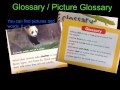 Exploring Informational Text Features for First Graders