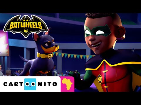 Bats in Show | Batwheels | Cartoon For Kids | Cartoonito Africa