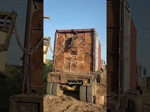 عامل يخرج من بين الاخشاب #youtubeshorts #اكسبلور #ترند #ytshorts #shorts #short #trend