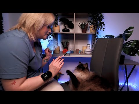 ASMR Cranial Nerve Exam On A Cat