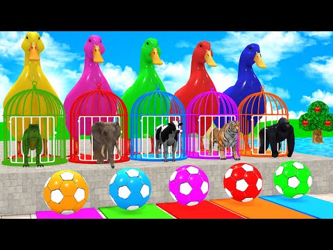 Long Slide Game With Cow Elephant Gorilla Hippopotamus Tiger 3d Animal Game Funny 3d Animals