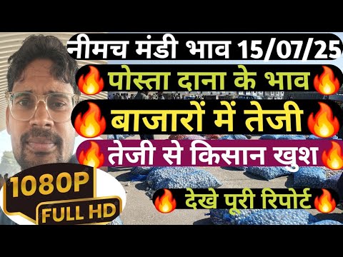 नीमच मंडी पोस्ता दाना का भाव Neemuch mandi ka bhav, Popeye seed bhav 15 july 2025 Today Mandi bhav