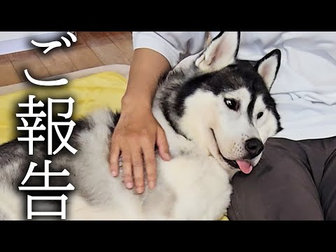 【ご報告】健康状態と今後について...