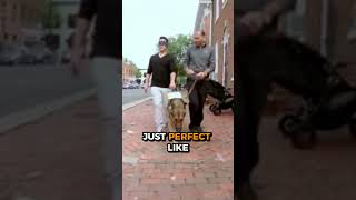 Walking with a Service Dog