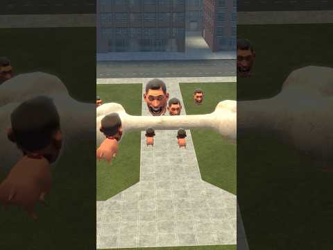 Bow Wow Dog 11