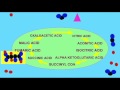 Cellular Respiration and Bacterial Ancestry