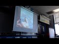 Essay Structure and Telephone Evolution
