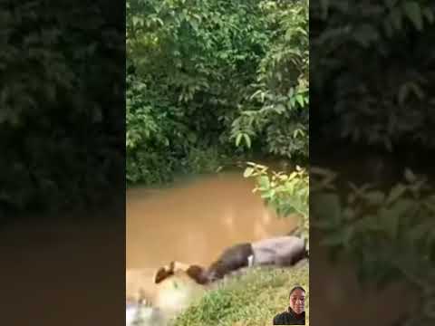 Trời ơi cứu tôi cái gì vậy nè?🤣 #song #friends #automobile #shortvideo #music