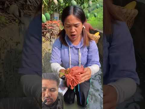 राजू आज पिंकी को क्यों मार रहा है 🥺😭  #shortvideo #indianshorts #mangojuice #mangorecipe #orangecake